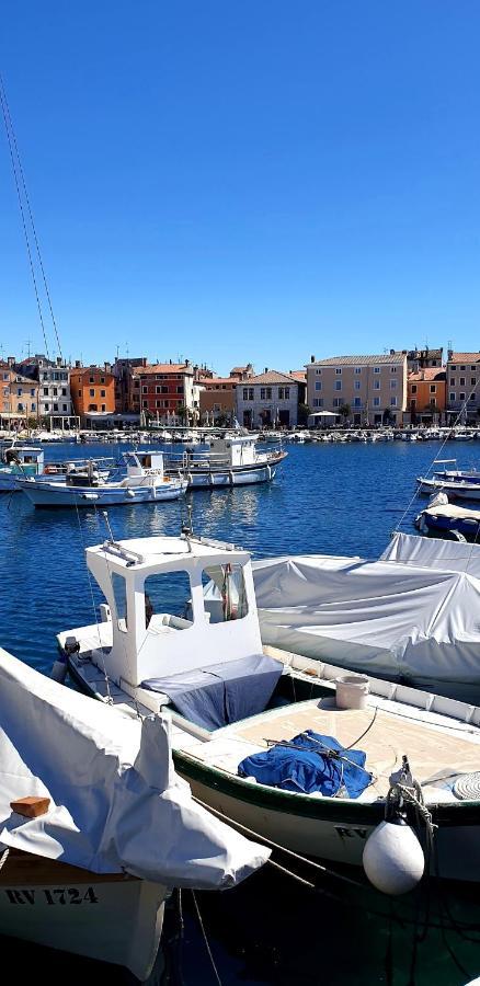 San Cristoforo Accommodations Rovinj - Garzotto المظهر الخارجي الصورة